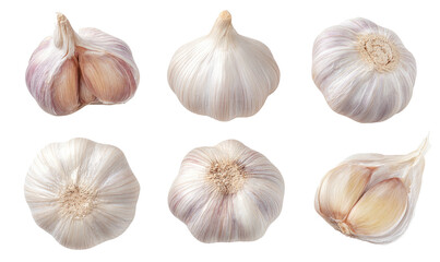 Fototapeta premium Six whole garlic bulbs, presented in various perspectives, showing cloves and detailed textures