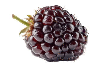 Close Up of a Dark Blackberry Fruit with Transparent Background