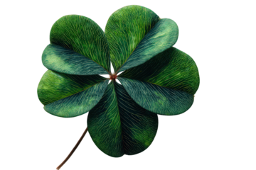 Glittering Four Leaf Clover Close Up On Transparent Background For Luck And Celebration