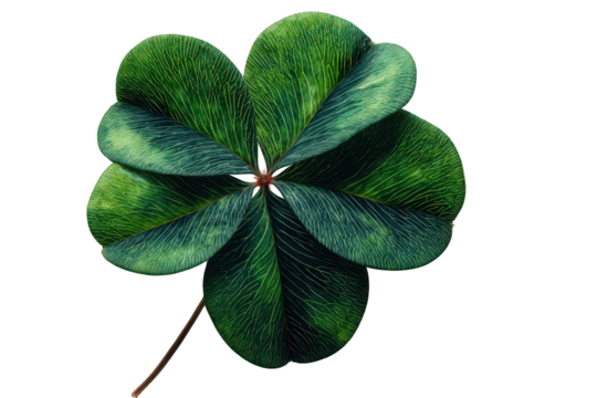 Glittering Four Leaf Clover Close Up On Transparent Background For Luck And Celebration