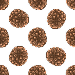 Hand drawn vintage seamless pattern of brown pine cones in retro engraving style for winter and holiday design