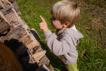 Boy explores nature while walking in the forest