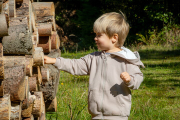 Boy explores nature while walking in the forest