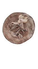 Fresh raw  seppia cuttlefish on a plate. Cooking octopus. Top view, close-up.
