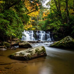 Autumn waterfall cascading over rocks in a lush forest