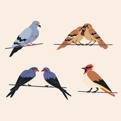 Four illustrations of different bird species perched on thin branches against a light beige background.