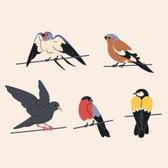 Illustration of five different bird species perched on thin branches, showcasing varied plumage and wing positions against a light background.