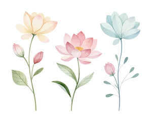 Minimalist Watercolor Flower Collection isolated on white background