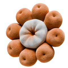 3D Render of Fuzzy Floral Illustration Featuring Orange and White Spheres on Transparent Background Soft Lighting Design Element