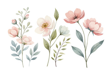 Minimalist Watercolor Botanical Flowers Clipart isolated on white background