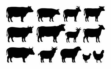 farm animals collection