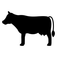 cow