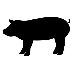 pig