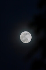 Fototapeta premium The full moon occurs on the full moon day, also known as the full moon day, when the moon is opposite the sun, making the full moon appear bright all night long.