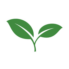 Green Leaf Vector Icon Illustration
