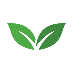 Green Leaf Vector Icon Illustration