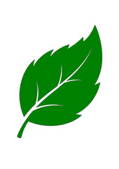 Leaf icon