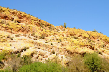 Spring at Saguaro lake in Arizona