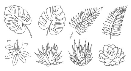 Collection of tropical plant outlines, perfect for botanical designs and illustrations