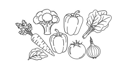 Hand drawn vegetables vector illustration, carrot, broccoli, pepper, tomato, onion