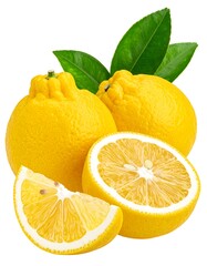 A collection of citrus fruit with green leaves, some sliced open