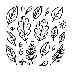 Set of leaves. Hand drawn decorative elements