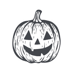 hand drawn pumpkin isolated on white background