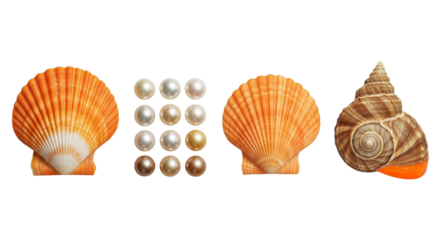 Isolated on transparent background, a beautiful arrangement of seashells and pearls, showcasing the wonders of the marine world