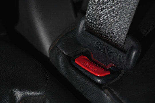 Fasten your seatbelt before driving to prevent accidents