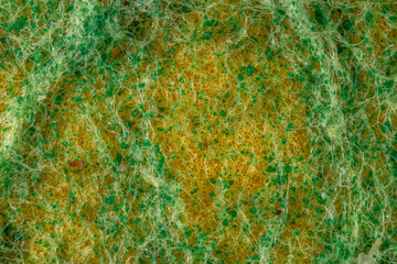 Extreme close-up of a yellow and green cleaning sponge texture, abstract background