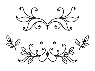 3d illustration of elegant floral design elements isolated on white background, perfect for adding a touch of nature to your projects
