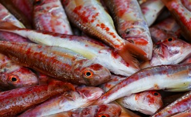 Red fresh fish on the boat ready for the marketplace seafood background 