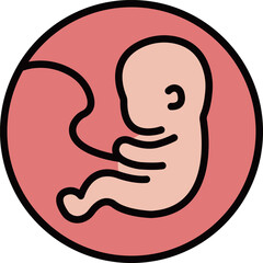 Embryo in Early Development Illustration