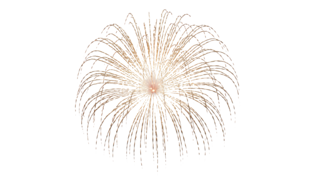 Stunning firework display against a black night sky, perfect for celebrations, events, and festive occasions, capturing the magic of the moment.