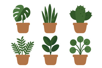 Assortment of trendy potted tropical houseplants and succulents for interior design