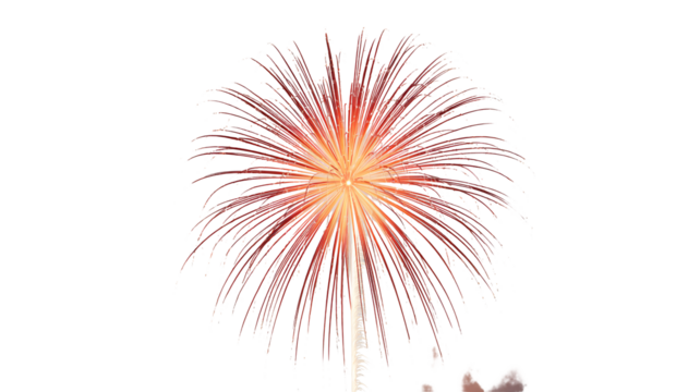 Vibrant fireworks display bursting in the night sky, perfect for celebrations and special events, creating a stunning visual impact.