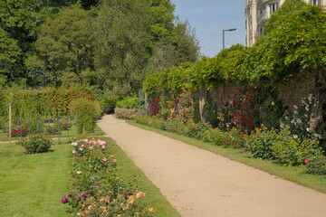 Rose garden and green trees Thabor park, Rennes, France