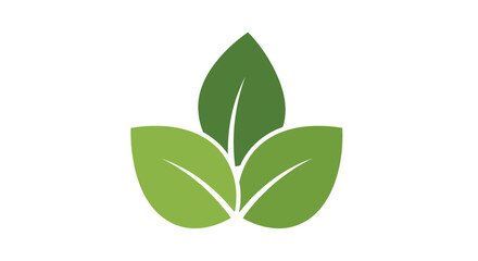Illustration of three green leaves arranged in a cluster, symbolizing nature and growth.