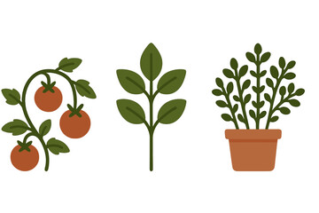 Stylized set of garden plants featuring tomato vine, leafy branch, and potted herb elements