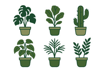 Collection of six different potted indoor plants featuring tropical and desert varieties