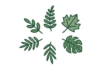 Various green foliage elements arranged in a circular pattern on a clean white background