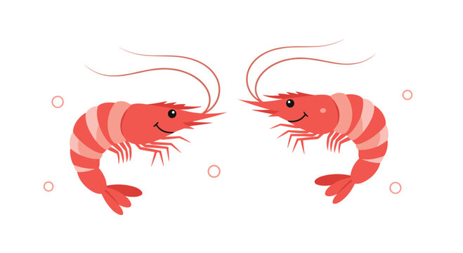 Two red shrimp swimming in clear water surrounded by bubbles.