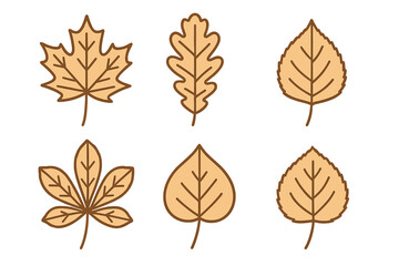 Fototapeta premium Set of various autumn tree leaves: maple, oak, and chestnut in simple flat style