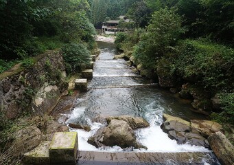 mount qingcheng, chengdu, china
