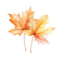 Fototapeta premium Autumnal Maple Symphony: Capturing the delicate beauty of two maple leaves, with a watercolor texture, exuding warmth, and the transient elegance of autumn. 