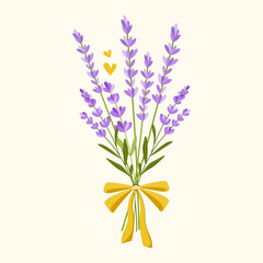 Hand drawn lavender bouquet tied with gold ribbon. Vector botanical illustration on white background for greeting cards, wedding decor, spa design, cosmetics label.