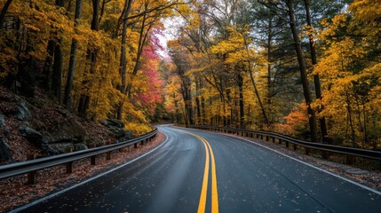 Fototapeta premium A winding road through a vibrant autumn forest with yellow orange and red leaves tall trees guardrails and lane markings