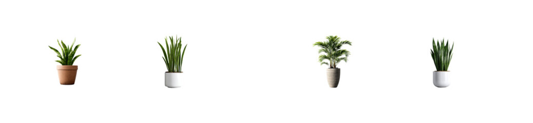 Set of Group of Potted Plants