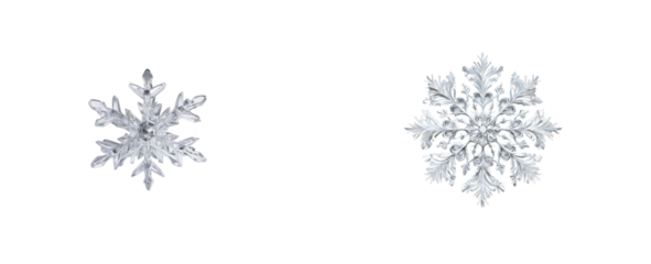 Set of Two ornate ice crystal snowflakes isolated on black