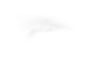Transparent Grey Cloud Effect with Soft Mist and Vapor Texture